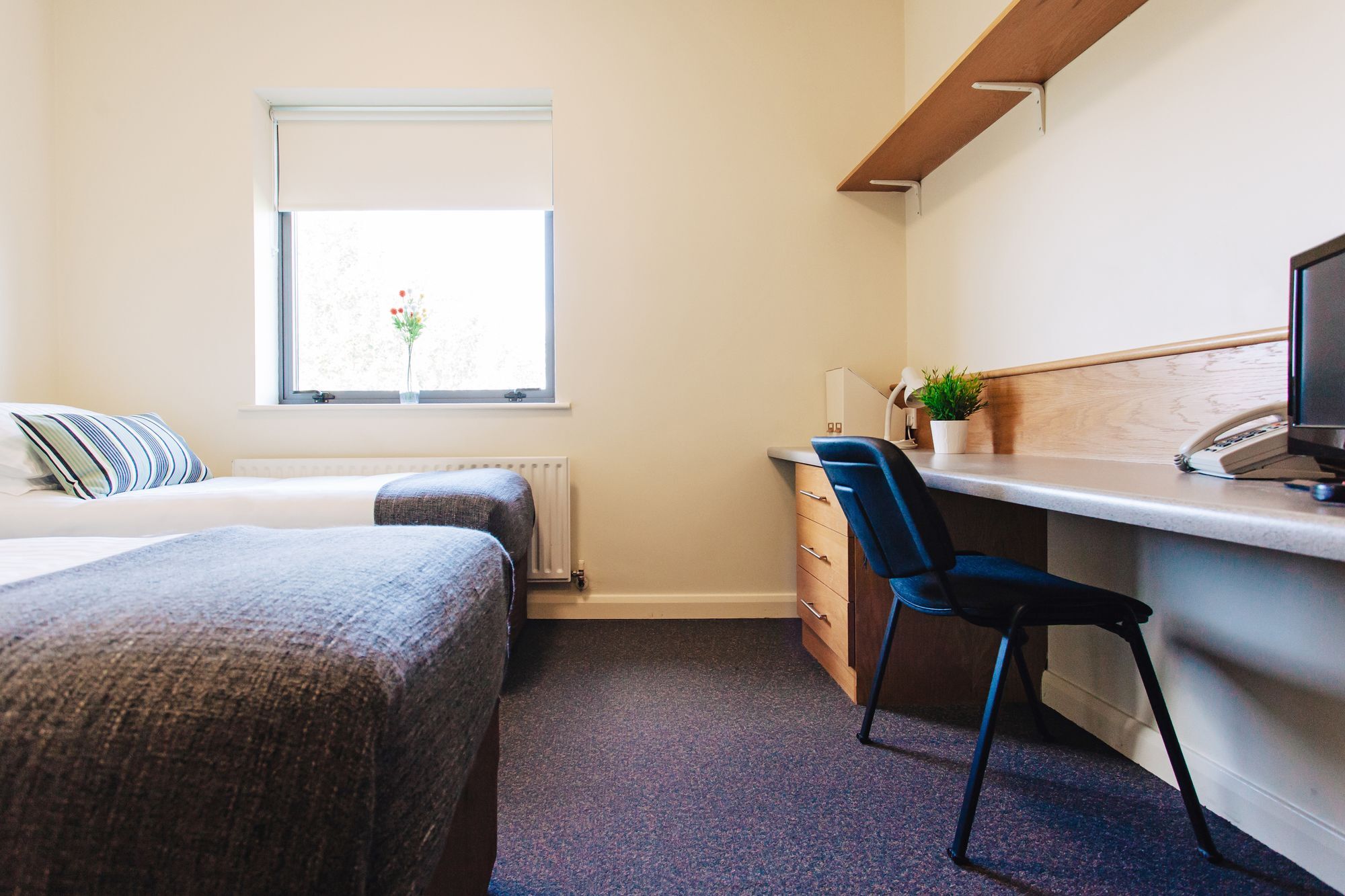 Dcu Rooms Glasnevin Dublin Exterior foto