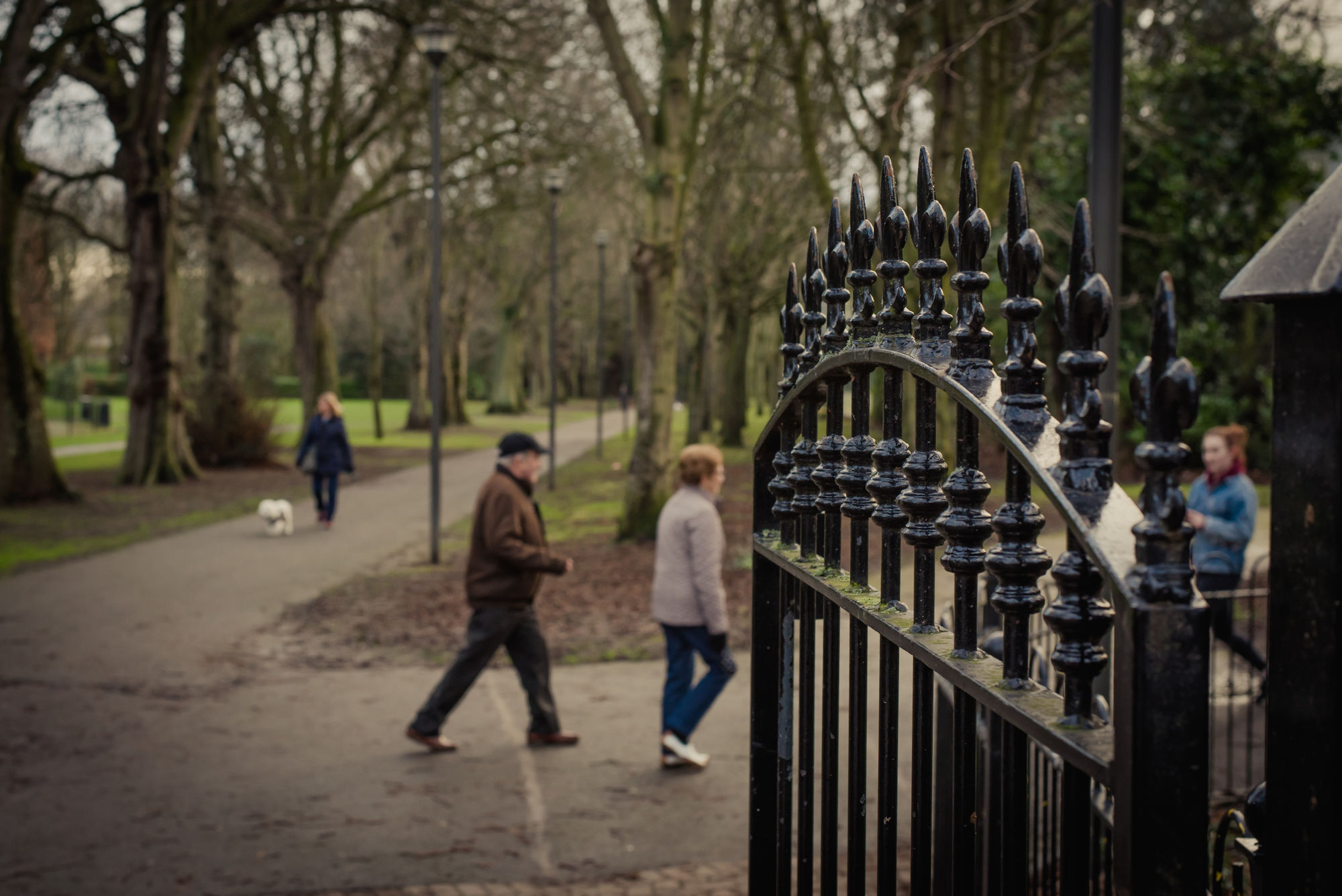 Dcu Rooms Glasnevin Dublin Exterior foto