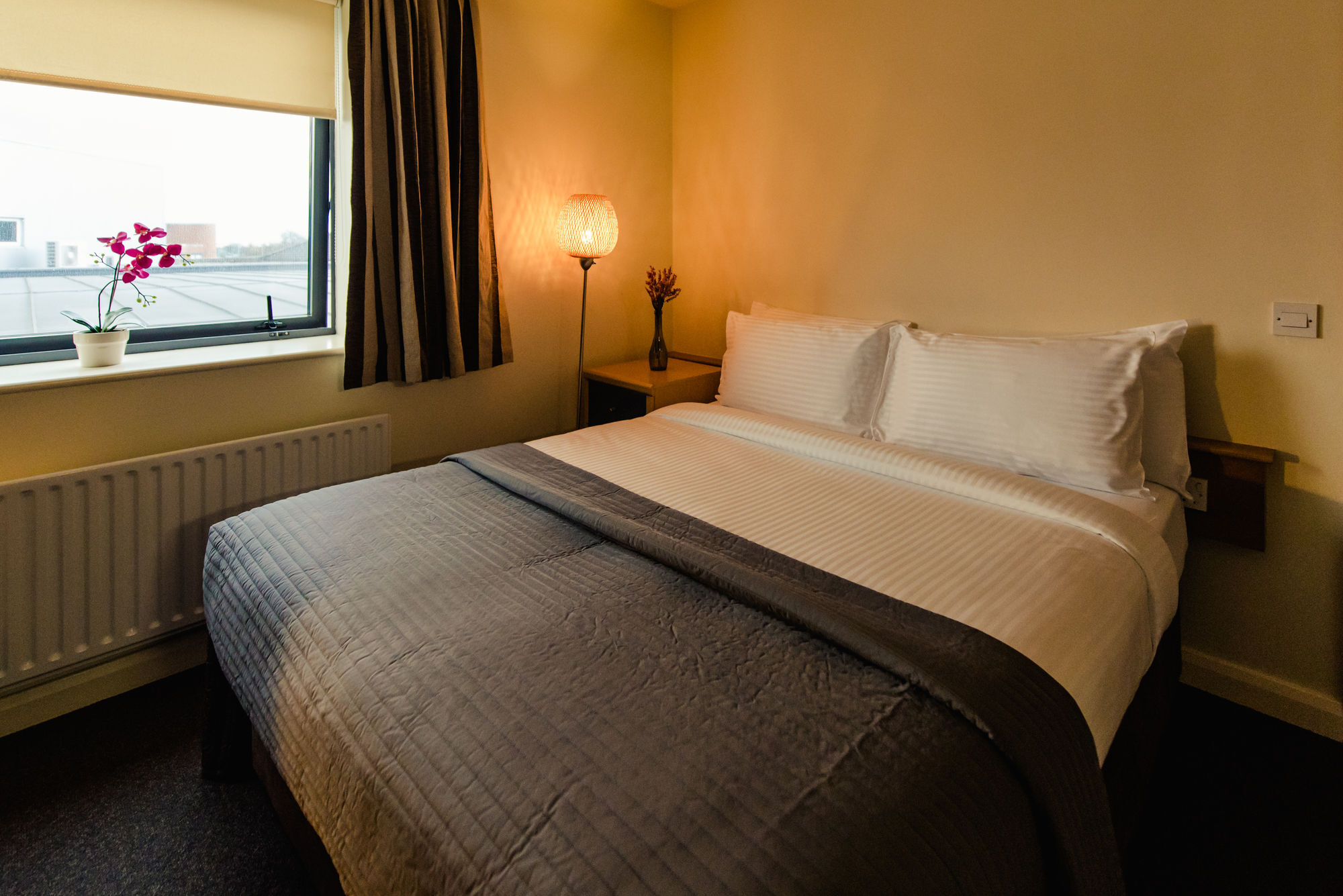Dcu Rooms Glasnevin Dublin Exterior foto